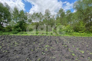 Фото №3: Земельный участок под ИЖС - сельский  Товарковский, ул. Строителей, 29