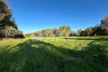 Фото №2: Личное подсобное хозяйство - Зайцево, мкр. Привокзальный территориальный округ, ул. Берёзовая