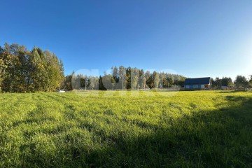 Фото №4: Личное подсобное хозяйство - Зайцево, мкр. Привокзальный территориальный округ, ул. Берёзовая