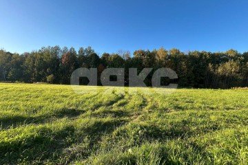 Фото №1: Личное подсобное хозяйство - Зайцево, мкр. Привокзальный территориальный округ, ул. Берёзовая