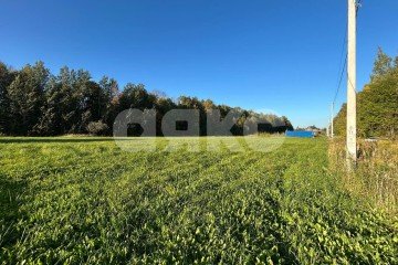 Фото №5: Личное подсобное хозяйство - Зайцево, мкр. Привокзальный территориальный округ, ул. Берёзовая