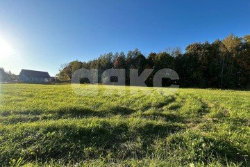 Фото №3: Личное подсобное хозяйство - Зайцево, мкр. Привокзальный территориальный округ, ул. Берёзовая