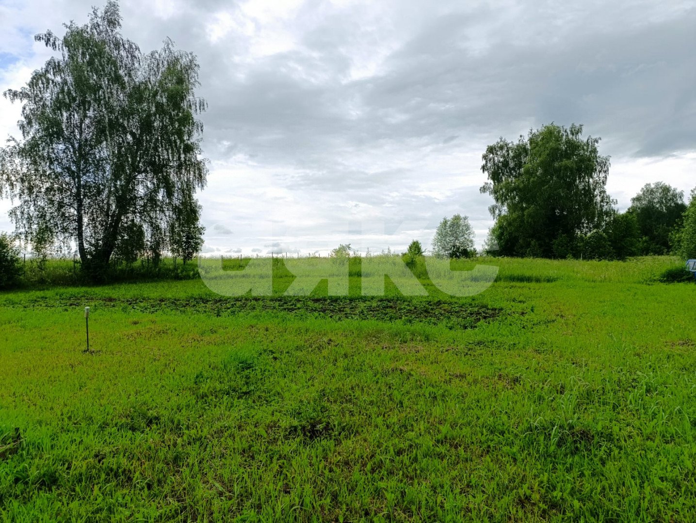 Фото №8: Личное подсобное хозяйство 26 сот. - Железня, 28