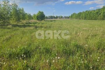 Фото №1: Участок садоводство - СНТ Берёзовая Роща, мкр. Привокзальный территориальный округ, 380