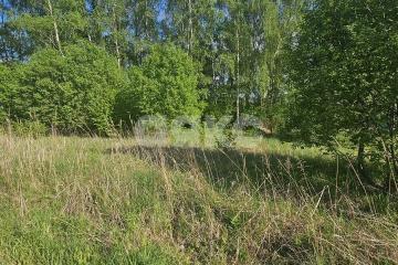 Фото №3: Участок садоводство - СНТ Берёзовая Роща, мкр. Привокзальный территориальный округ, 380