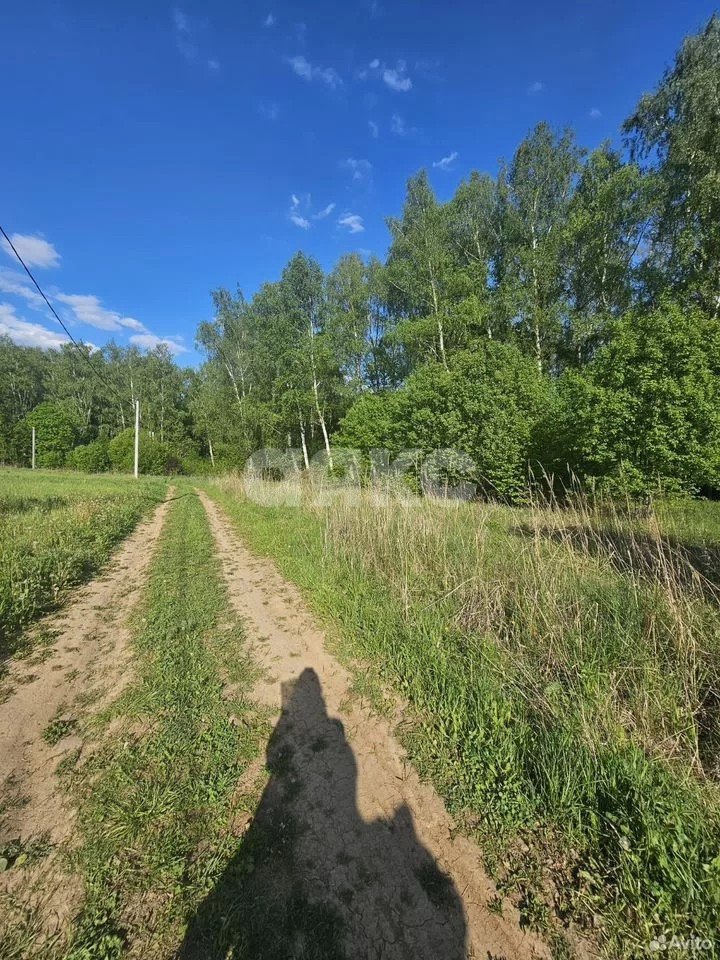 Фото №4: Участок садоводство 10 сот. - СНТ Берёзовая Роща, мкр. Привокзальный территориальный округ, 380