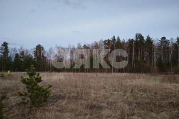 Фото №1: Земельный участок под ИЖС - Бунырево, 